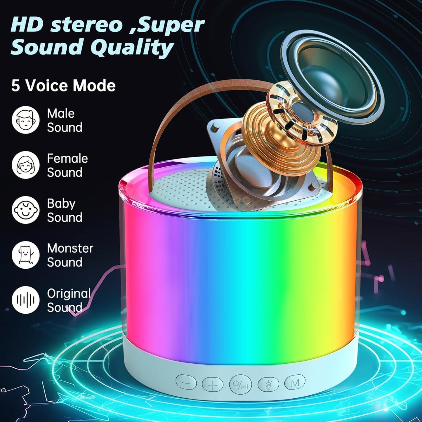 Speaker With 2 Mike